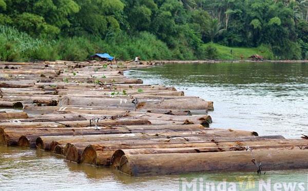 MINDANAO: Davao, Caraga fight illegal logging; GenSan conserves water resources